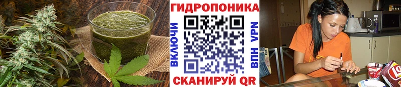 Еда ТГК марихуана  хочу наркоту  Шарыпово 