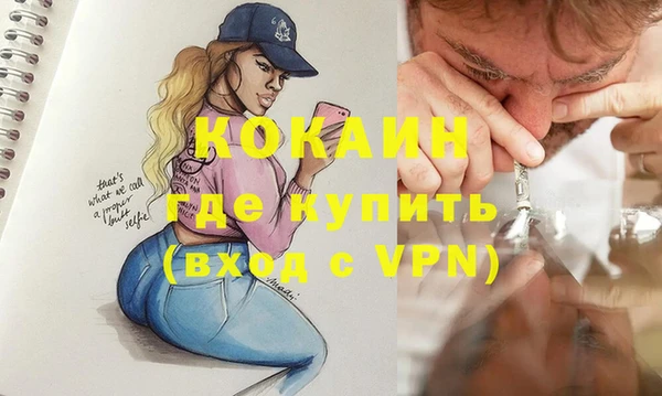 молекула духа Лихославль