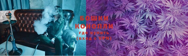 ECSTASY Бородино