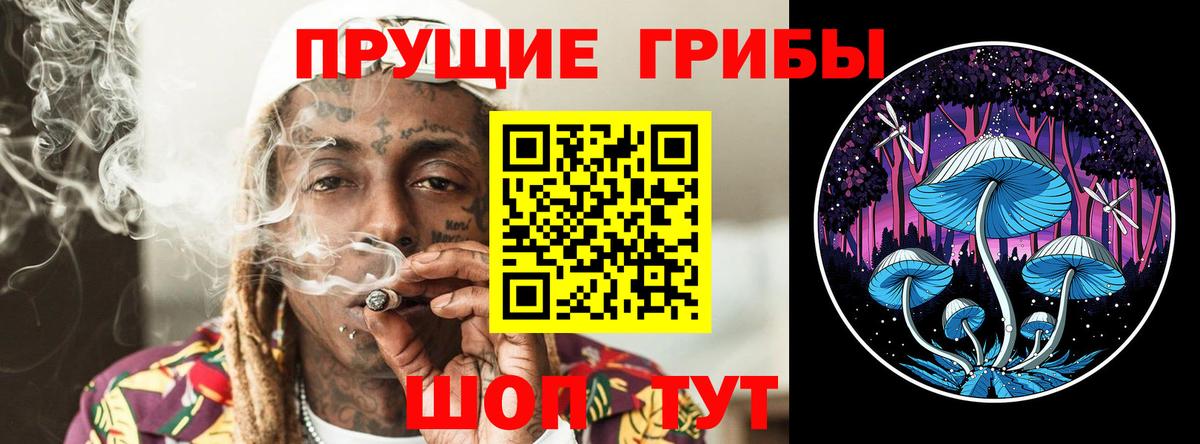 как найти наркотики  Галлюциногенные грибы Psilocybine cubensis  Шарыпово  Галлюциногенные грибы прущие грибы 