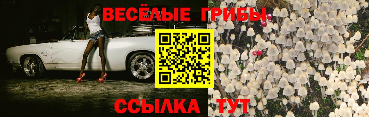 Галлюциногенные грибы прущие грибы  Вход с VPN  Шарыпово  Псилоцибиновые грибы прущие грибы 