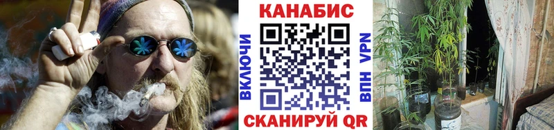 даркнет сайт  Шарыпово  Бошки Шишки Amnesia 