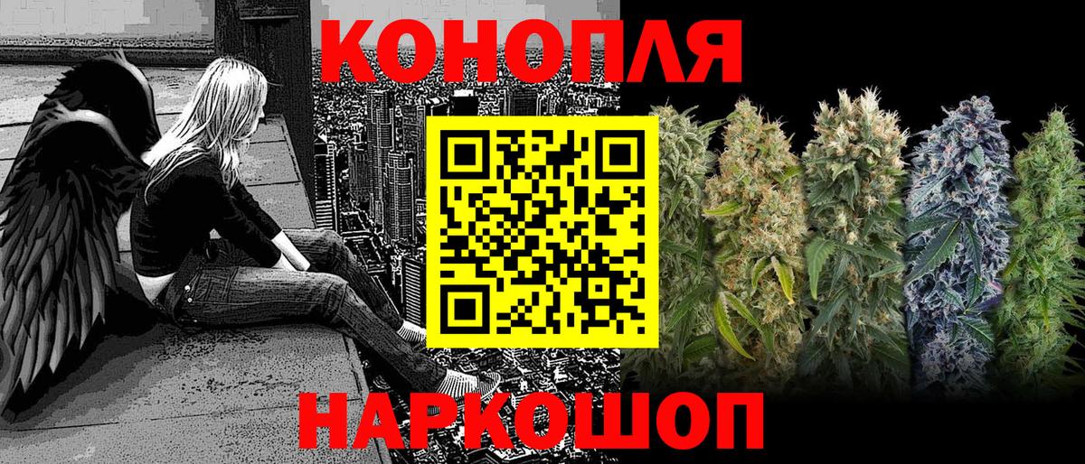 Каннабис тримм  Шарыпово  Канабис план  Каннабис сатива 